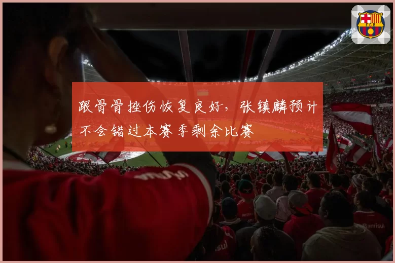 跟骨骨挫伤恢复良好，张镇麟预计不会错过本赛季剩余比赛