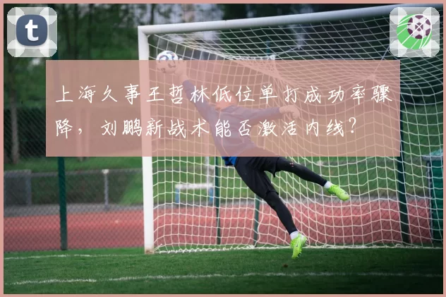 上海久事王哲林低位单打成功率骤降，刘鹏新战术能否激活内线？