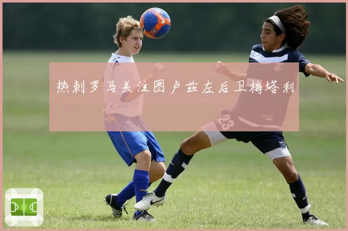热刺罗马关注图卢兹左后卫梅塔利