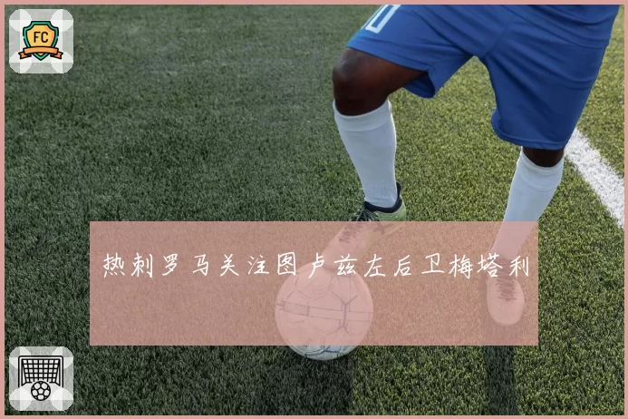 热刺罗马关注图卢兹左后卫梅塔利